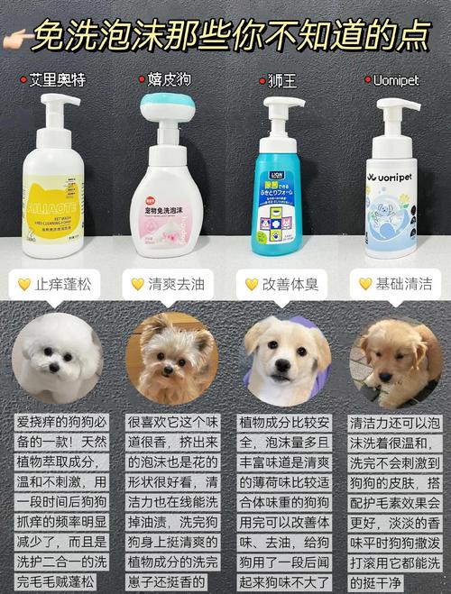 狗狗干洗粉能洗干净吗