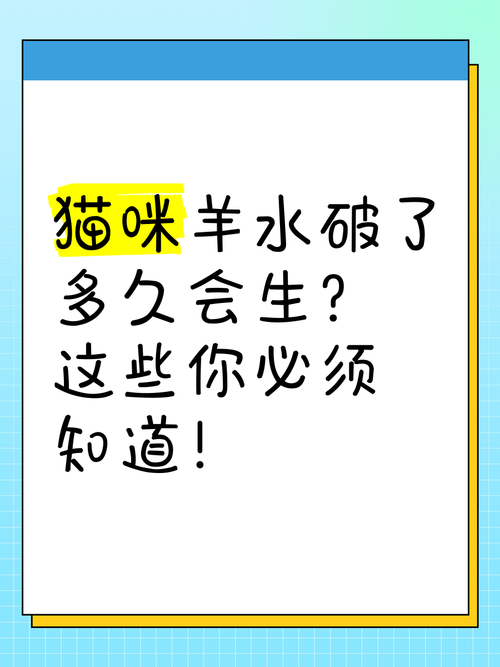 如果发现猫羊水破了可能15~60分钟能生?,一定要注意!