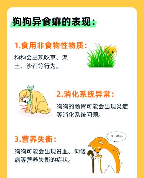 我家狗狗吃石头,怎么办