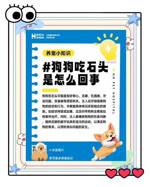 狗狗吃石头是怎么回事