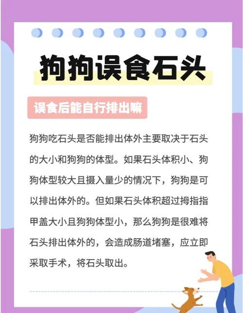 我家狗狗吃砖头