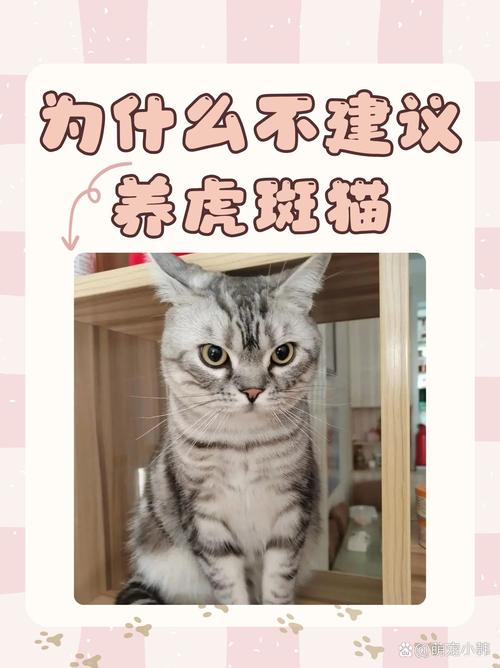 为什么会有长不大的猫咪呢