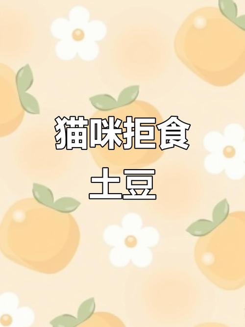 猫咪为什么不吃土豆