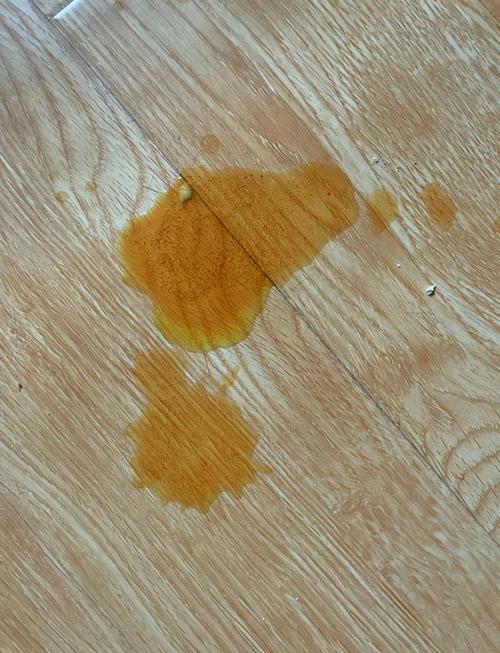 猫绝育后第三天开始吐怎么回事,猫绝育后第三天开始吐正常