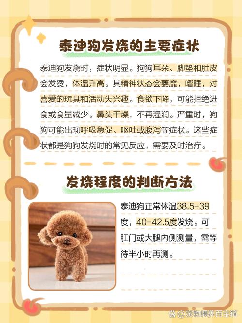 泰迪感冒的症状