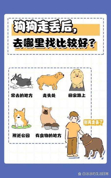 狗丢了可以报警吗