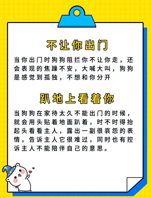 狗狗缺乏安全感的表现