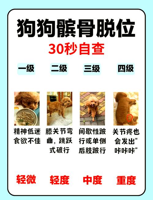 怎么判断狗狗髌骨脱位