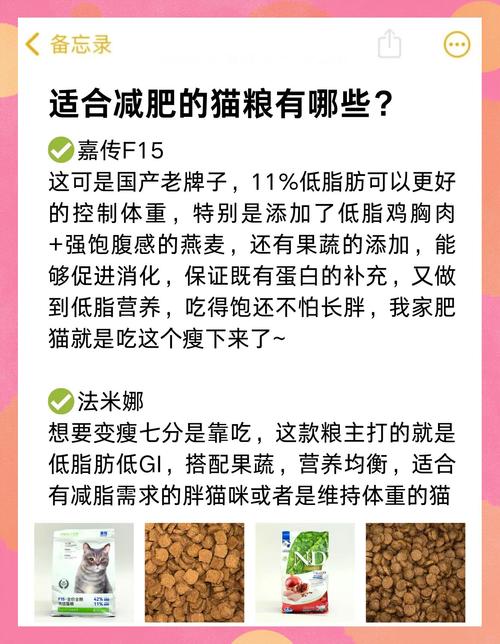 宠物猫一天喂几次猫粮