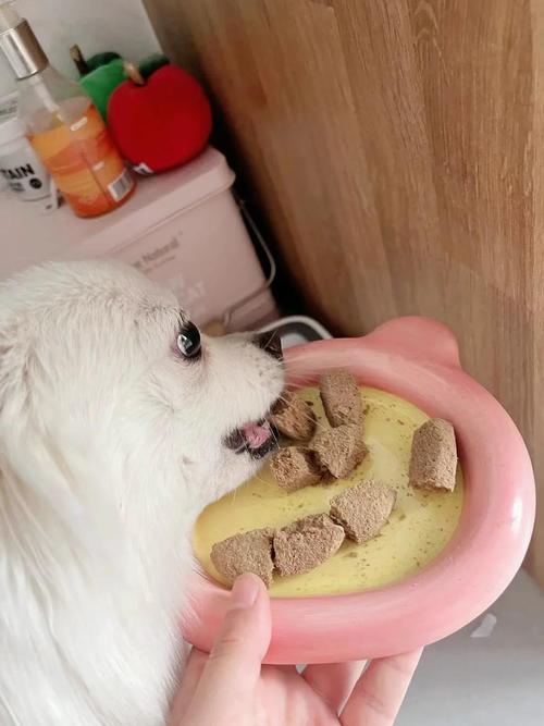 狗吃了两块奥利奥夹心的有事吗?