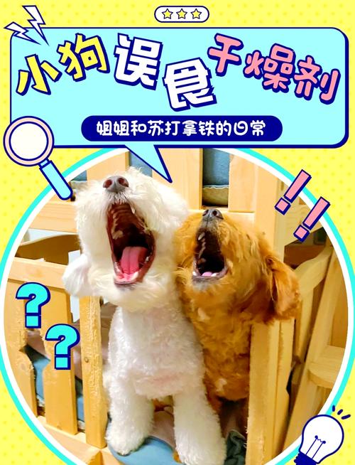 狗狗吃了奥利奥饼干怎么办