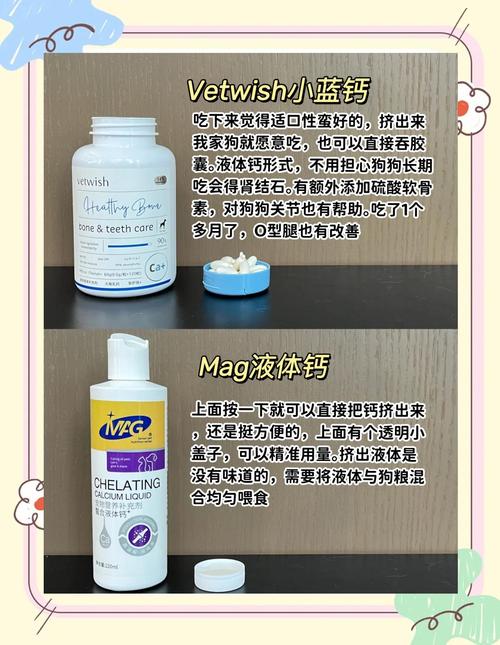 3到6个月的小狗吃什么钙片好