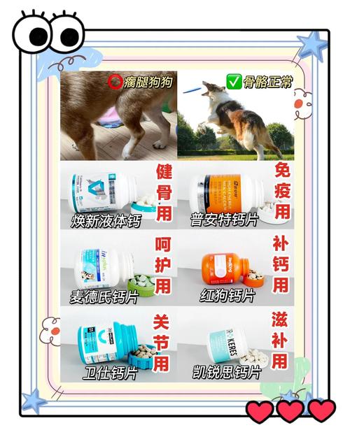 狗狗钙片排名榜前十名