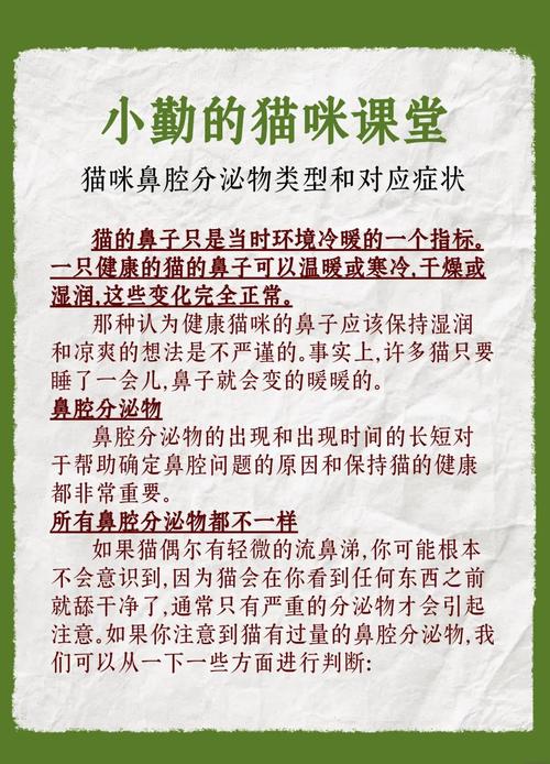 猫咪鼻子不湿润怎么办