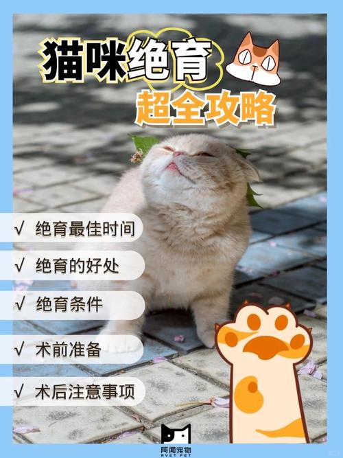 猫咪什么时间做绝育好?