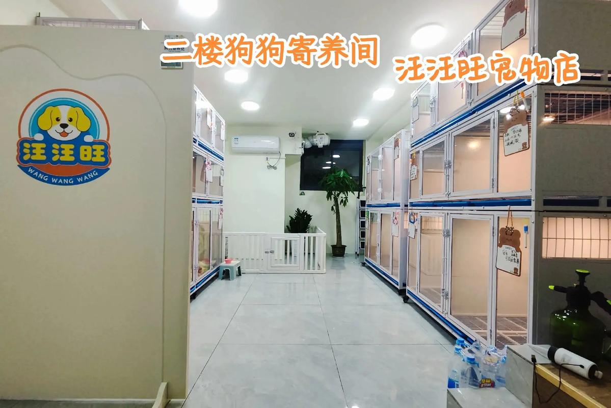 准备把狗狗放宠物店寄养,需要带哪些东西?