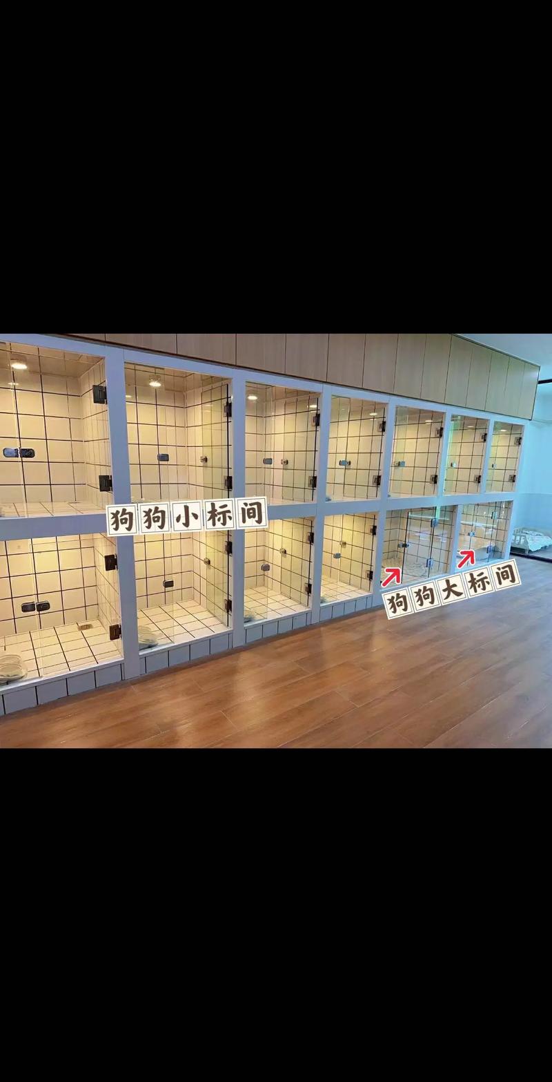 宠物店寄养狗狗安全吗