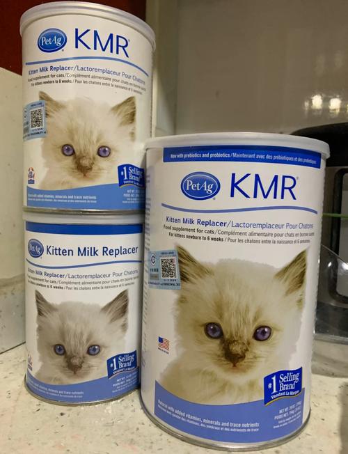 猫咪下崽了喝什么奶粉有营养?