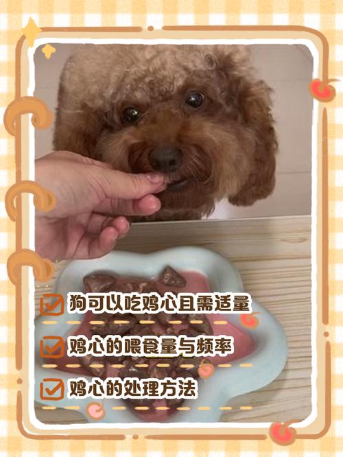 鸡心怎样处理才能喂给狗子吃?