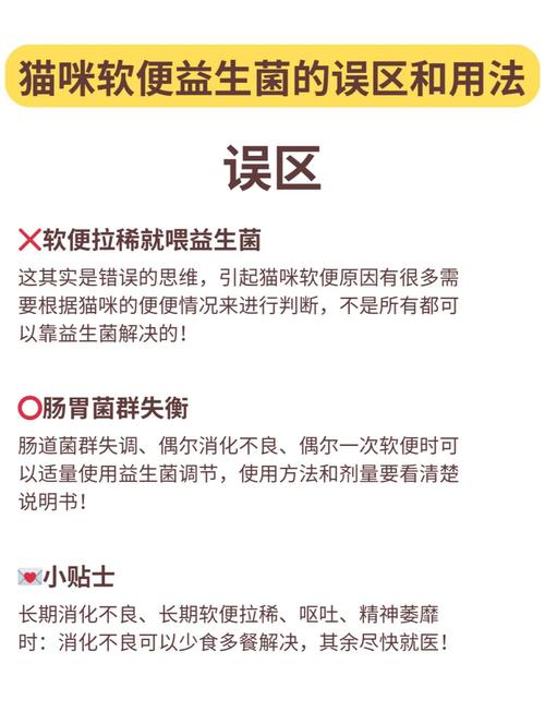 给猫咪喂益生菌的禁忌