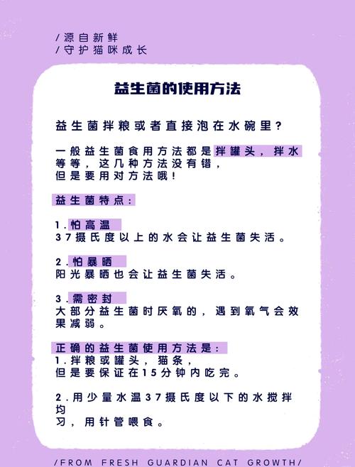 使用猫咪益生菌的五大注意事项