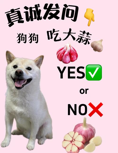 狗能吃大蒜吗