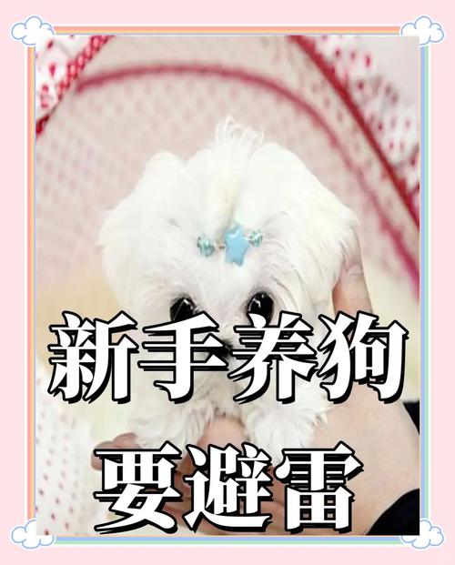 狗狗冬天怎么保暖啊