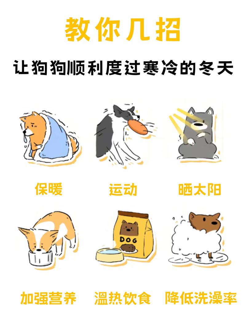 冬季养狗千万别踩这些雷区__