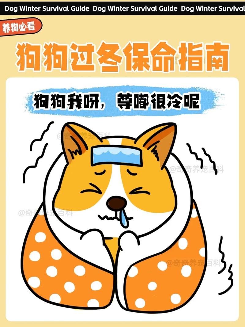 狗狗冬天室外养怎么保暖