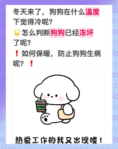 小狗几个月之后就不用保暖了