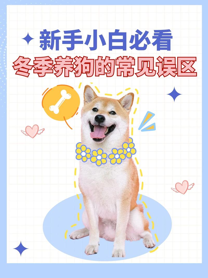 狗狗冬天是怎么保暖的?