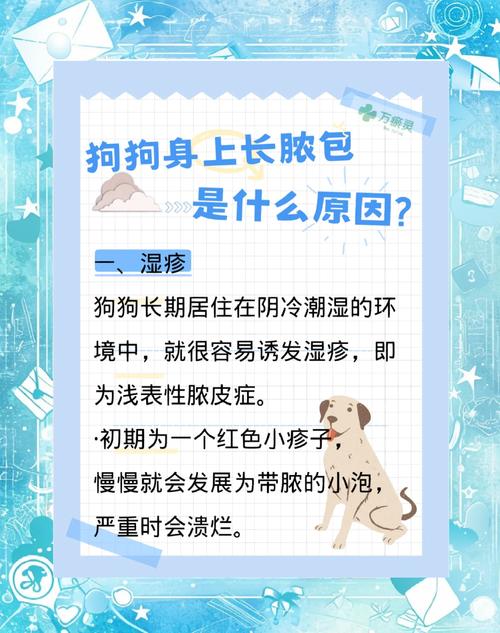 小狗身上有脓包怎么办