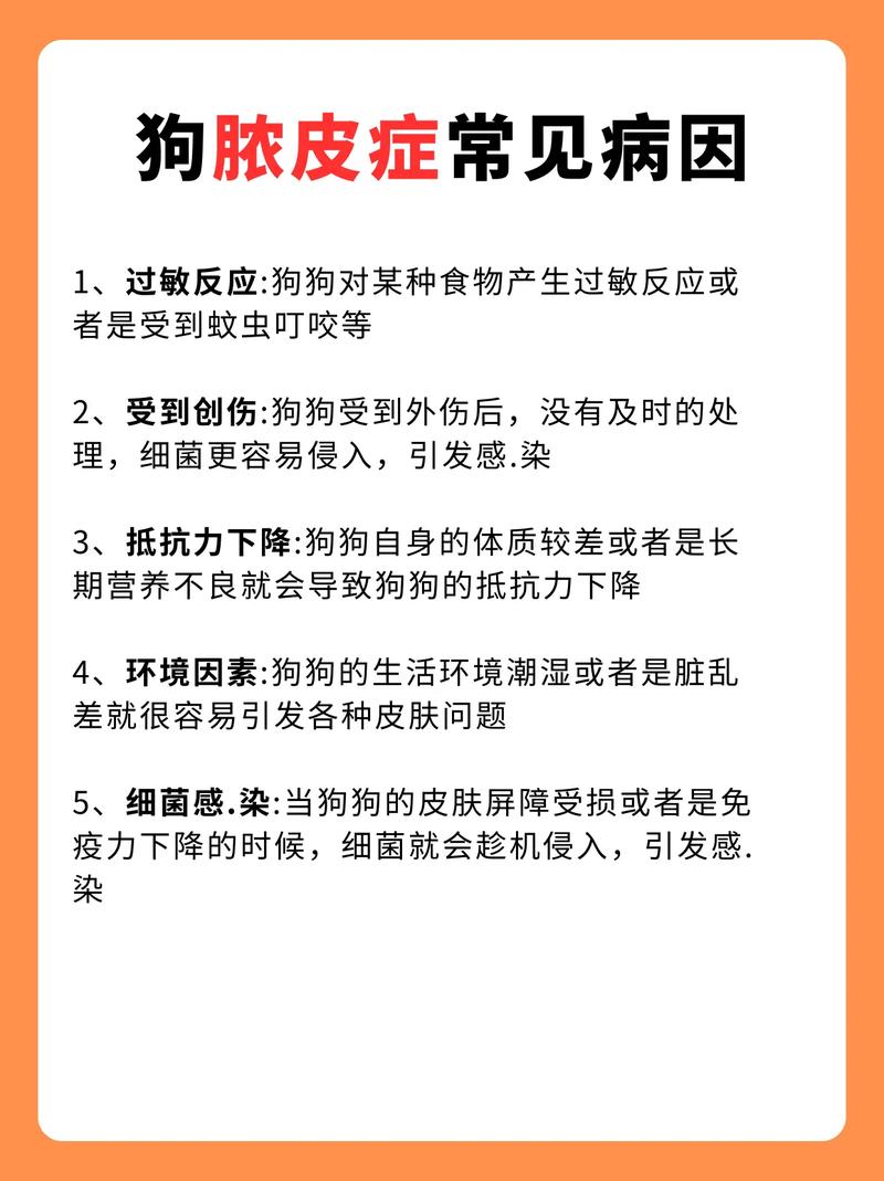 狗狗身上长脓包怎么办?