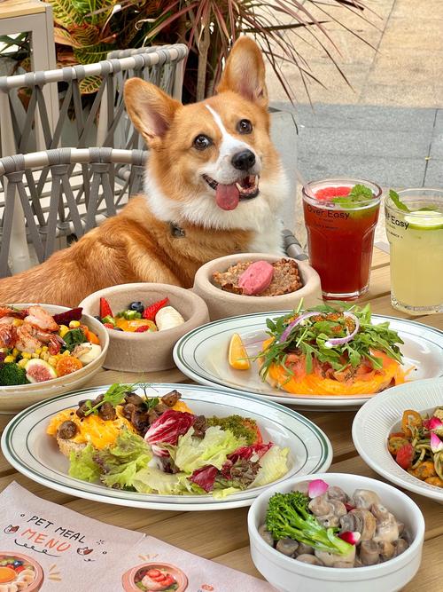 狗狗可以吃什么水果