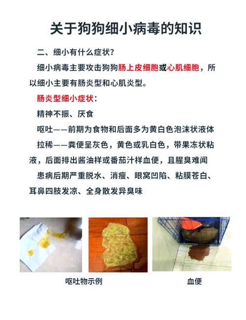 狗狗细小痊愈后还会传染给别的狗狗吗?