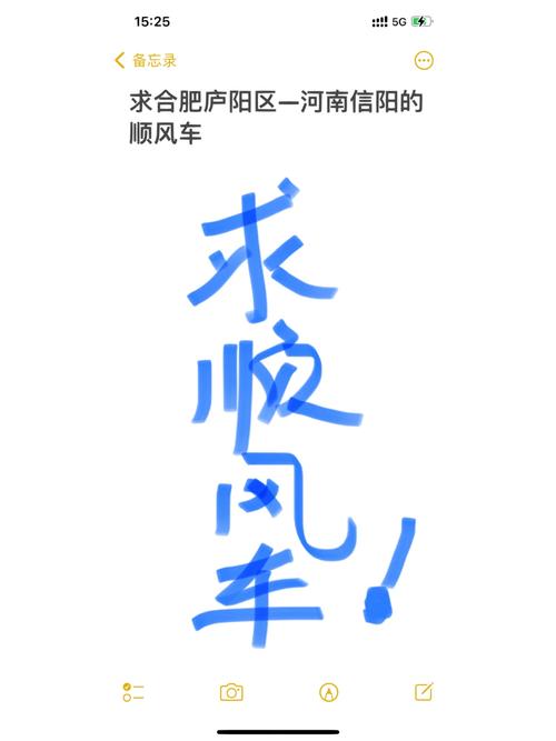 顺风车可以带宠物吗