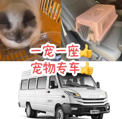 顺风车乘客有宠物大行李箱能加钱么