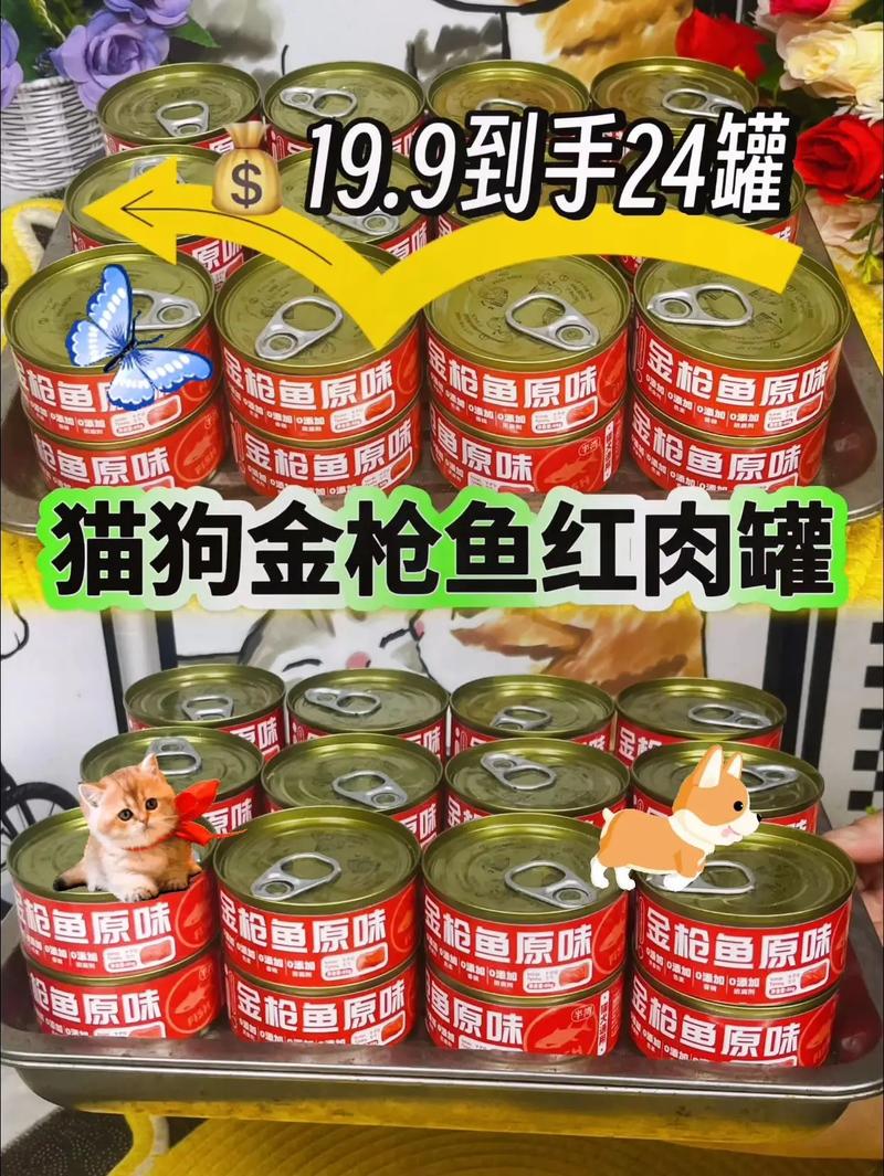 我家猫咪突然开始吐口水,怎么回事