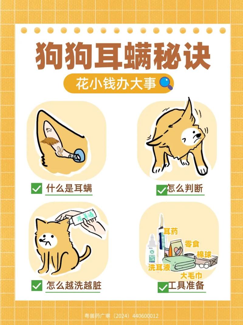 狗狗耳螨怎么治?用什么药比较好?