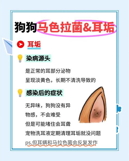 怎么判断狗狗是否得了耳螨