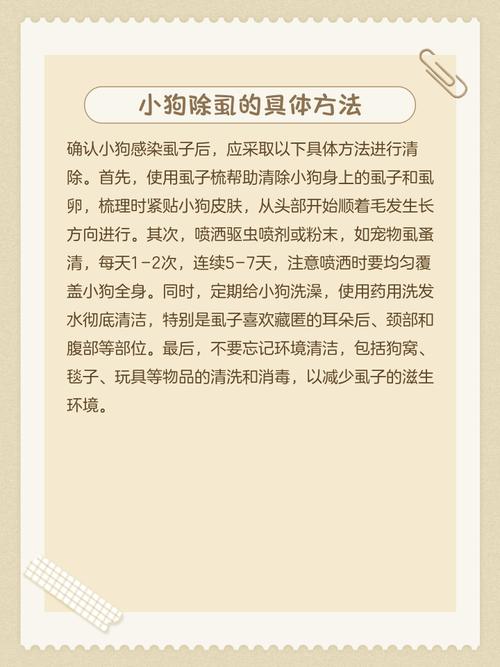 狗虱子怎么去除小偏方