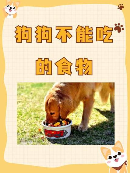 狗狗为什么不能吃龙眼