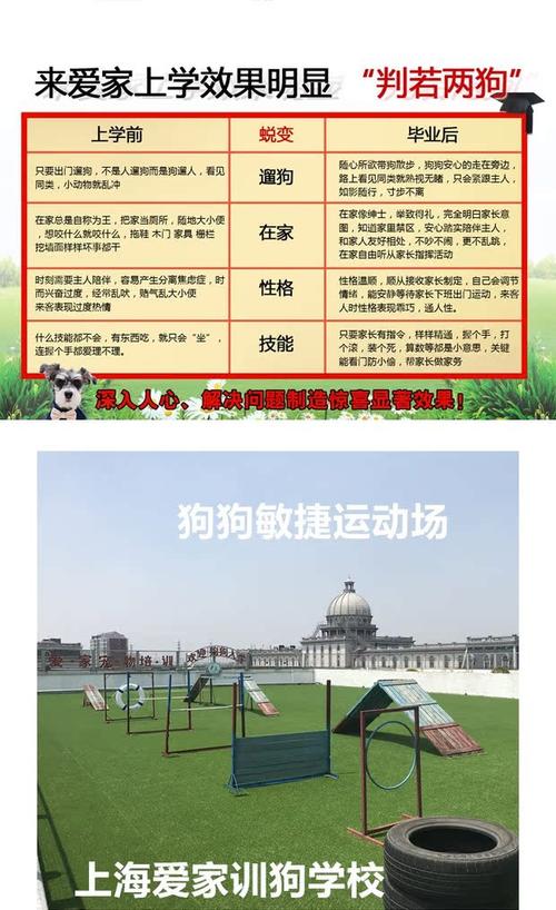 狗狗训练学校费用