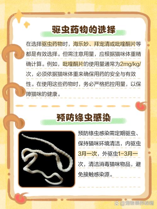 猫咪肛门爬出白色虫子