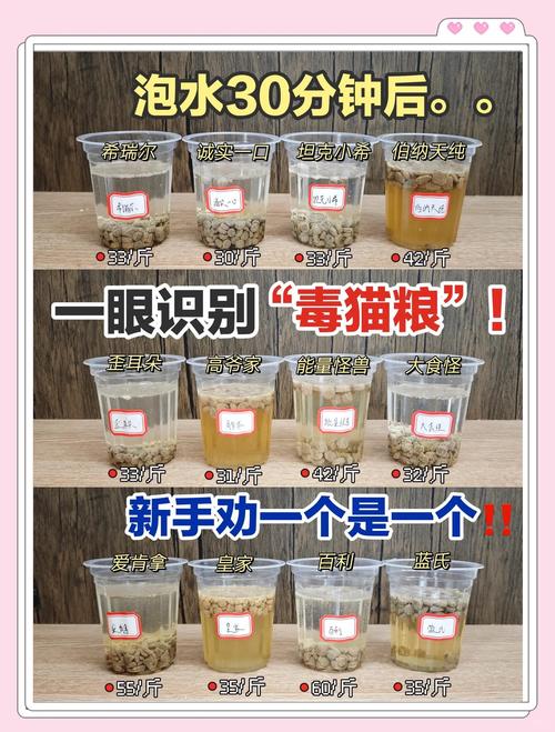 幼猫猫粮和成猫粮的区别