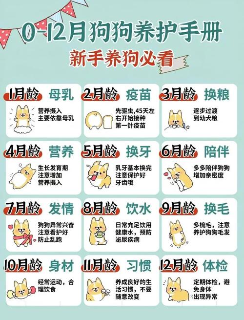 狗的母乳什么时期比较好