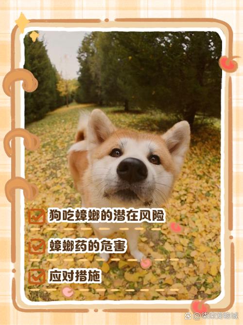 狗吃了虫子会怎么样?