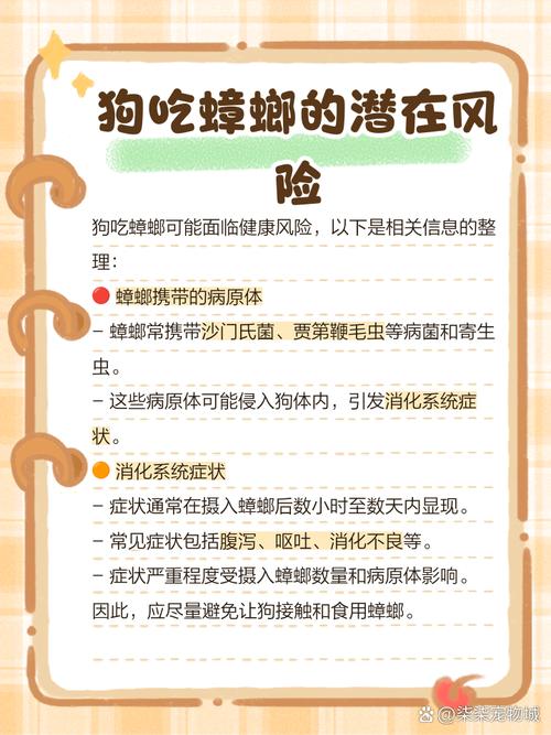 狗吃虫子会怎么样?