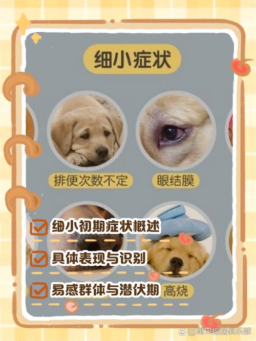 狗狗得细小好转的征兆
