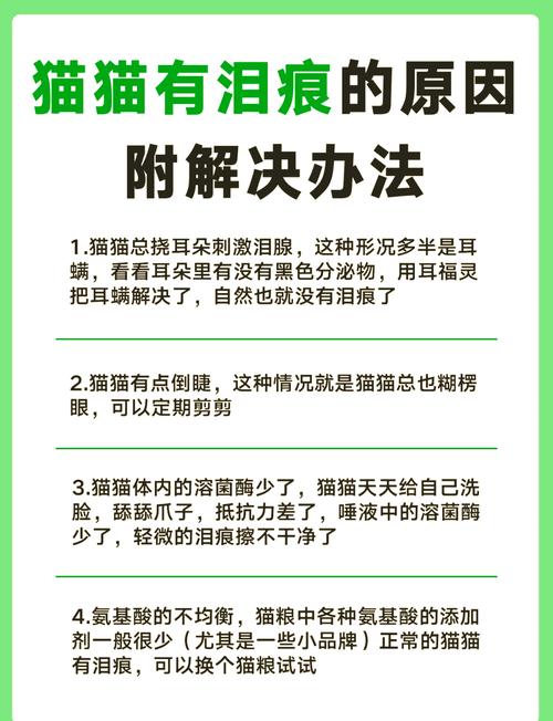 猫咪泪痕重是什么原因造成的?普安特自有解决之道